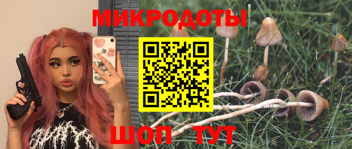 Псилоцибиновые грибы Magic Shrooms Светлоград
